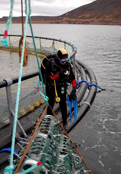 Dafna Israel doing fieldwork in Skutulsfjordur